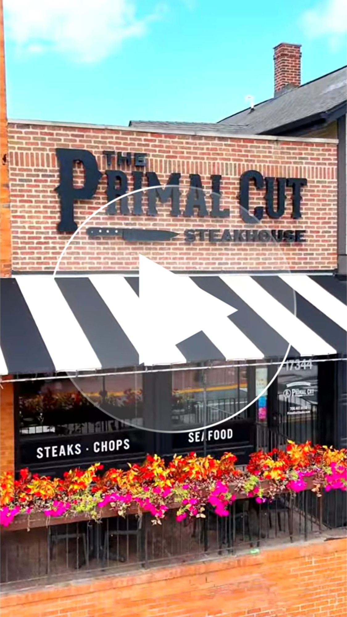 Primal Cut Video Thumb